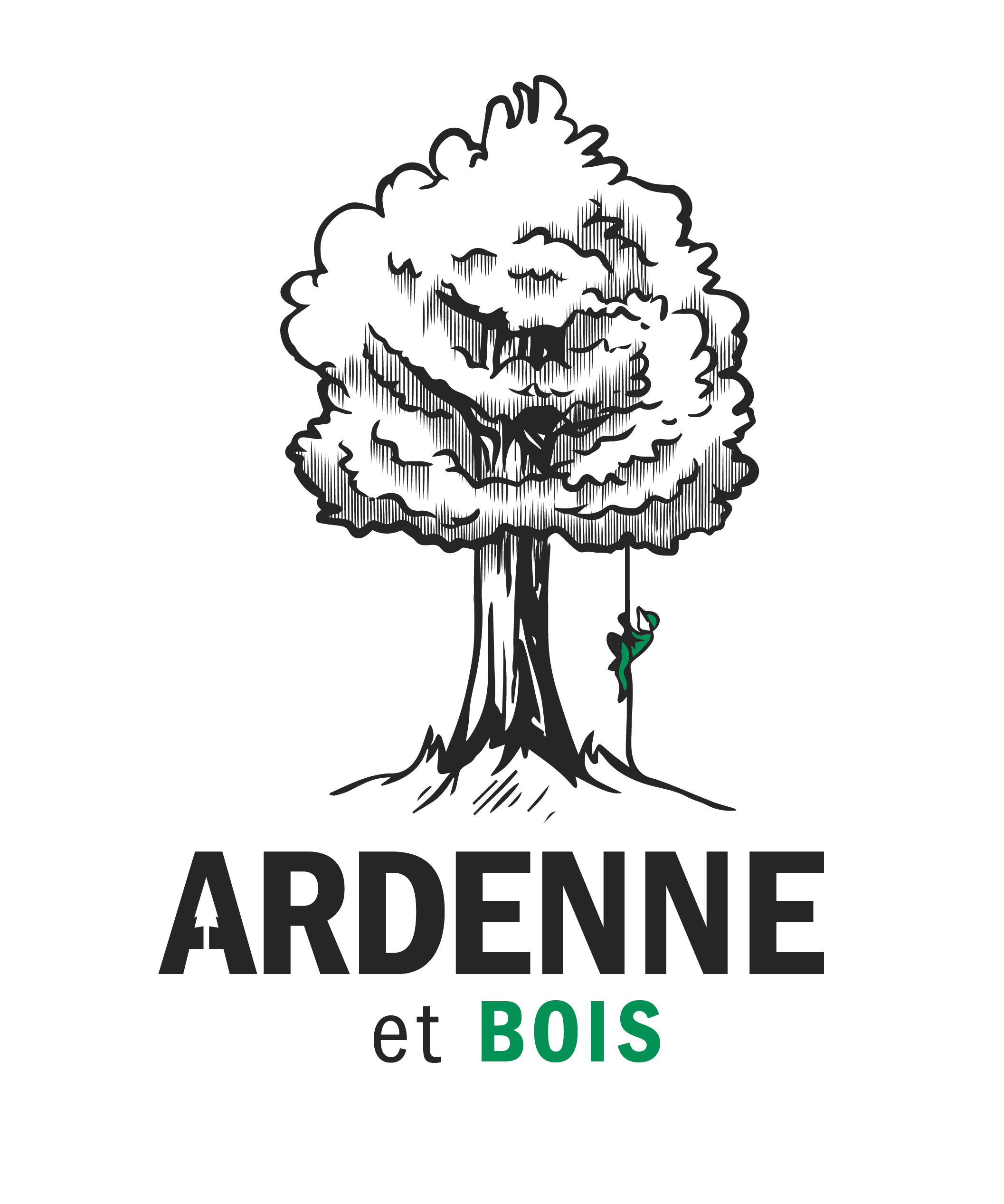 Logo de Ardenne et Bois Srl