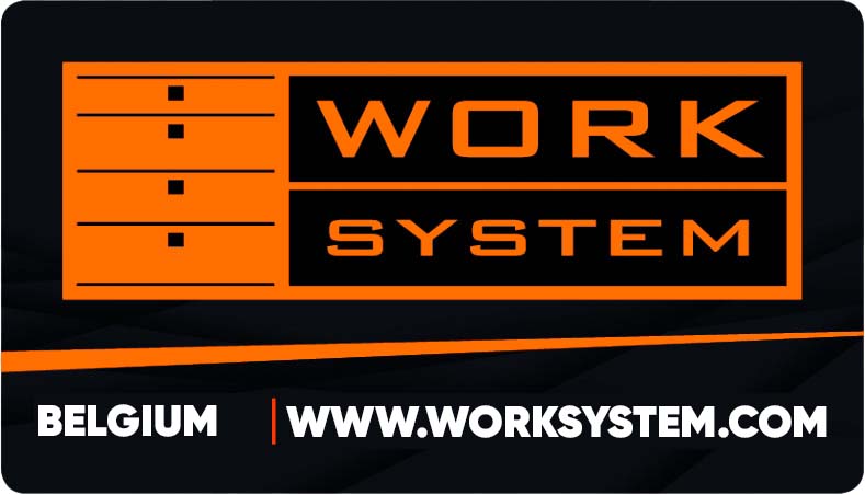 Logo de Work System
